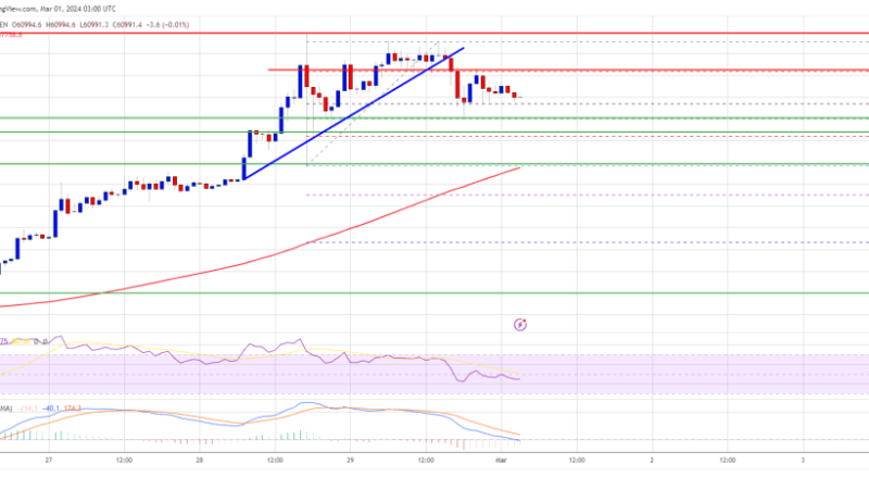 Bitcoin Price Turns Attractive On Dips, 100 SMA Is The Key