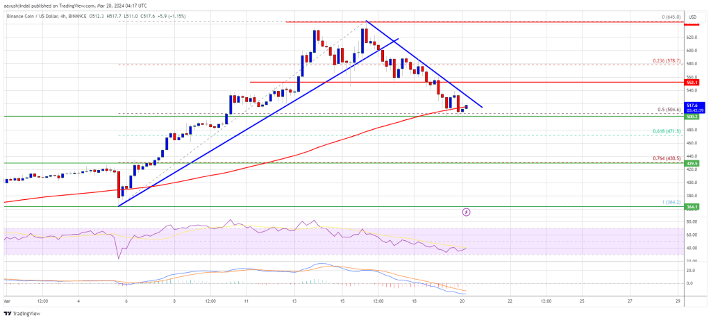 BNB Price Could Restart Rally If It Is Able To Hold This Key Support