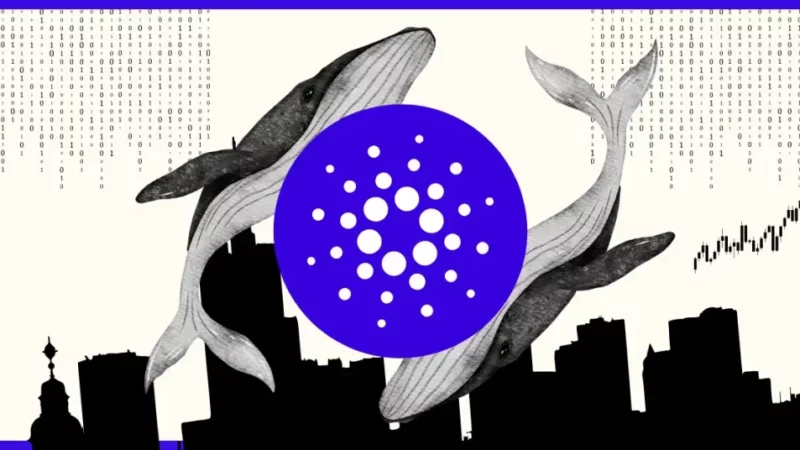 Cardano Whales Accumulate Heavily: ADA Price Appears to be Programmed to Hit $1 Soon