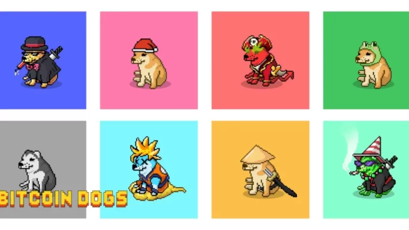 Countdown Begins: Bitcoin Dogs ICO’s Last Few Days to Make History