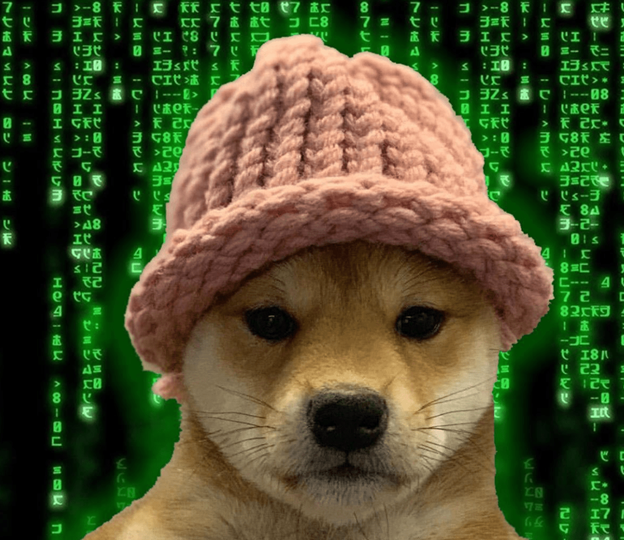 Dogwifhat Price Pumps 24% as Newcomer DogWifCat Makes an Exciting Debut