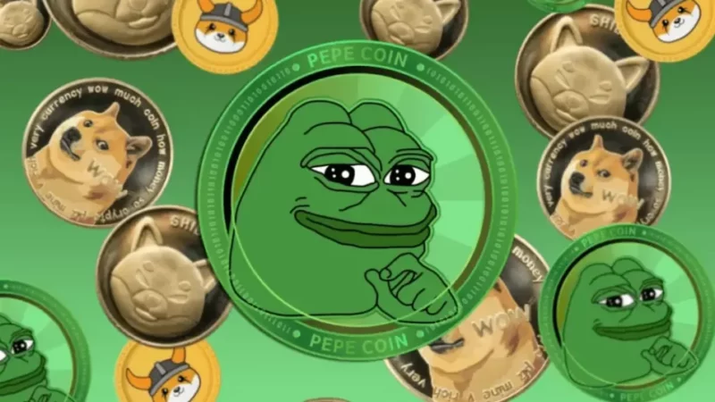 Major Investment Company Encourages Customers to Buy Memes – With Caution