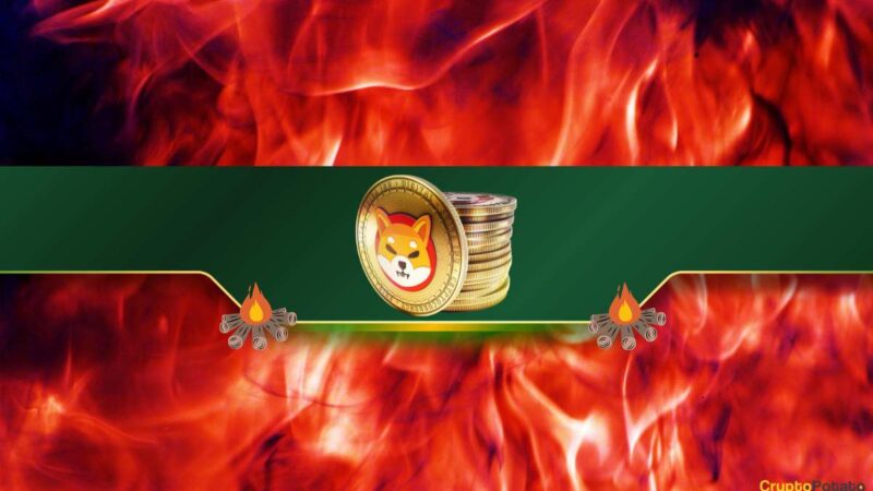 Shiba Inu Burn Rate Explodes by 1,200%: Is SHIB Poised for a Bull Run?