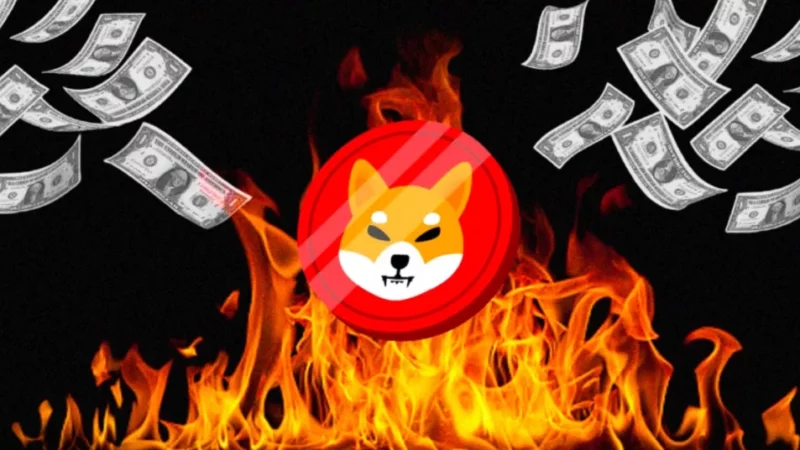 Shiba Inu Price Massive Rally on Horizon: SHIB Price Surges with a 30,000% Burn Rate Increase