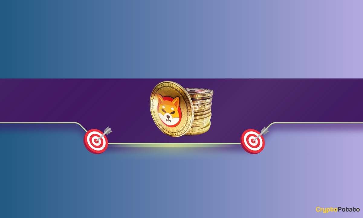 Shiba Inu (SHIB) Bull Run Continues as This Important Metric Soars by 2000%