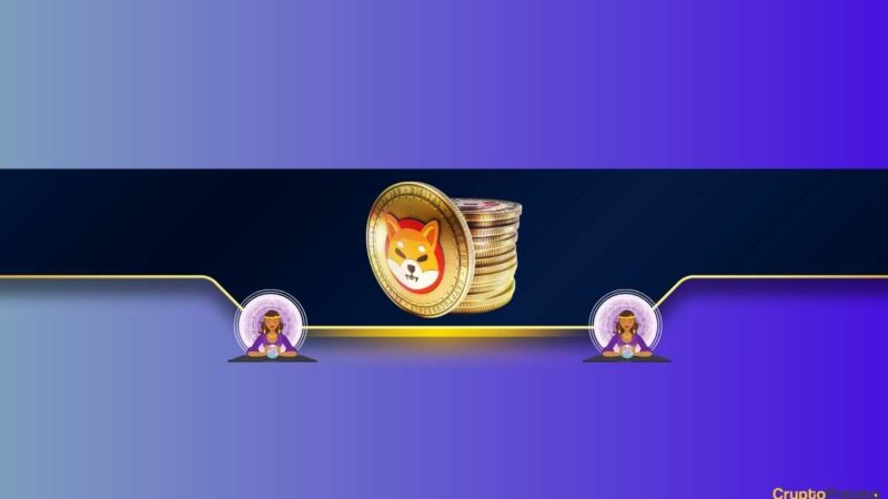 Shiba Inu (SHIB) Price Predictions: Is The Bull Run About to Continue?