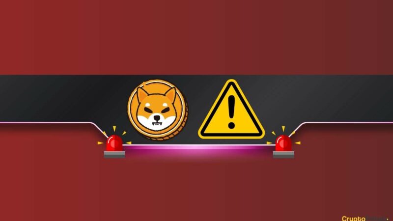 Shiba Inu (SHIB) Team With Crucial Warning to Its Community