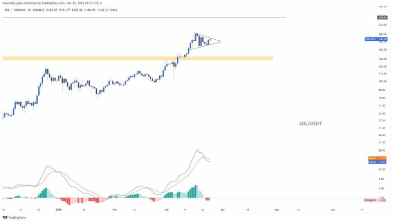 Solana (SOL) Breaks Through Key Resistance, Analyst Forecasts $250 Price Target