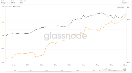 The Road To $100,000: Bitcoin Whale Accumulation Explodes