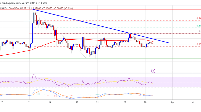 XRP Price Holds Support – Indicators Show Risk of Downside Break