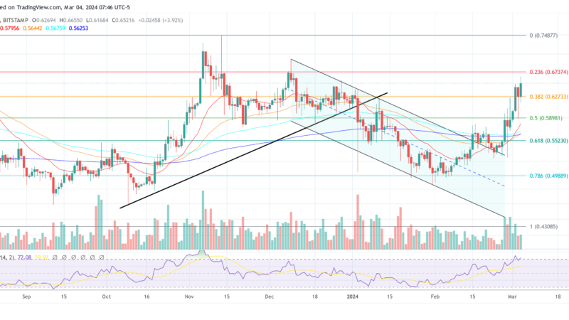 XRP Price Set To Hit $1 In March: Crypto Analyst