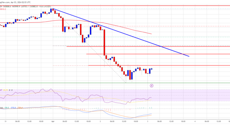 Bitcoin Price Consolidates Losses But Recovery Could Face Hurdles