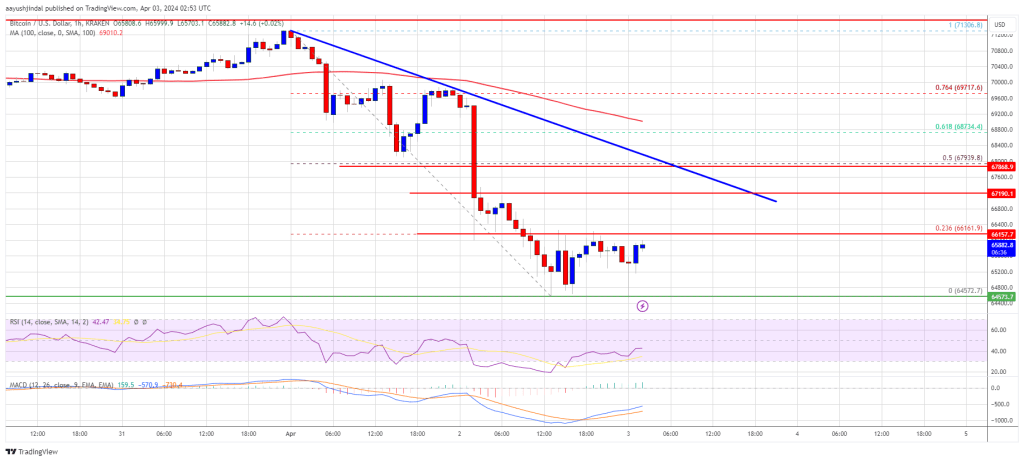 Bitcoin Price Consolidates Losses But Recovery Could Face Hurdles