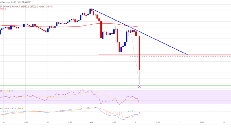 Bitcoin Price Dumped To $66K As Bears Gain Strength, $64K Next?