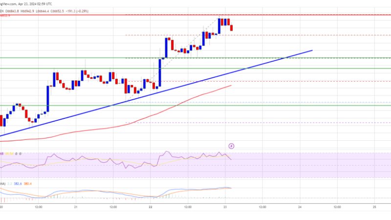 Bitcoin Price Extends Increase, Why Dips Turned Attractive In Short-Term