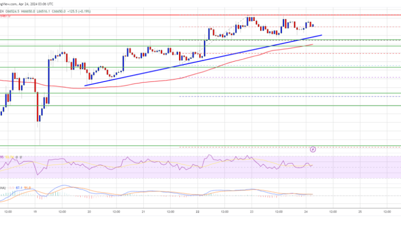Bitcoin Price Eyes Next Breakout As The Bulls Aim For $70K