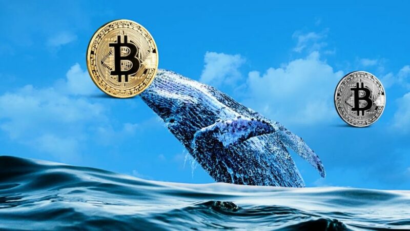 Bitcoin Whale Resurfaces with $100M, Rising AI Altcoin Outshines XRP