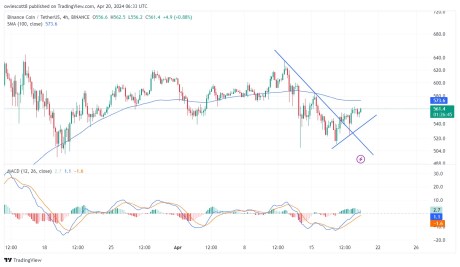 BNB Resilience: Holding Firm At $560 – What’s Next?