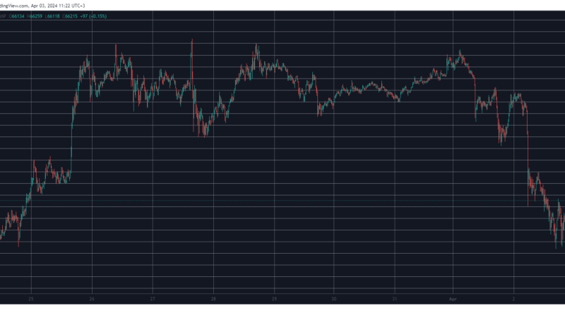 BTC’s Recovery Begins After a 10-Day Low, ICP Steals the Show With 10% Surge (Market Watch)