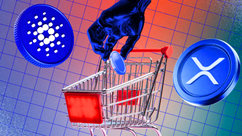 Cardano Developer Activity Soars: How Will This Impact the ADA Price?