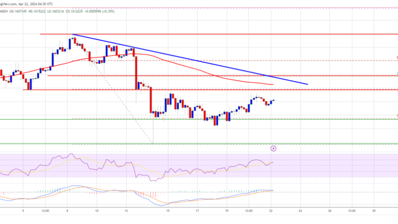 DOGE Price Prediction – Dogecoin Recovery Could Stall At $0.170