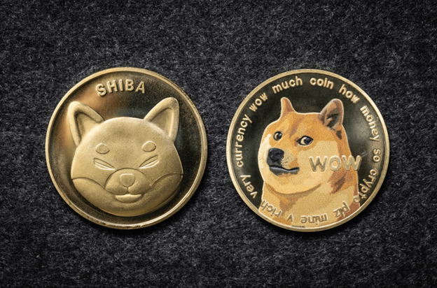 Dogecoin & Shiba Inu Prices Slide But New Meme Coin Dogeverse Has Raised $6.7M