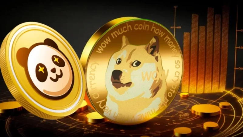 Dogecoin To Moon: DOGE Price To Rally 5,900% If This Happens