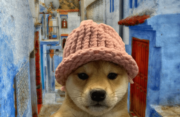 Dogwifhat, Bonk Prices Slide But New Solana Meme Coin SLOTH is Backed to Explode