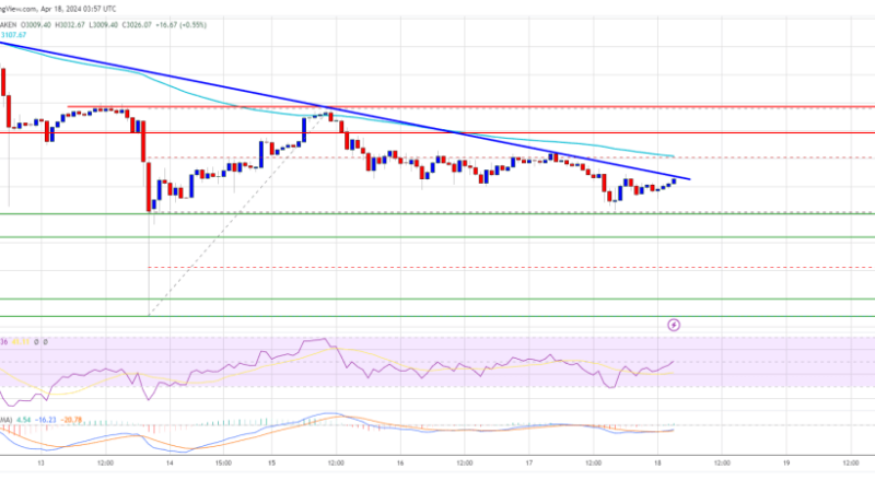 Ethereum Price Holds Strong At $3K But Can Bulls Clear This Hurdle?