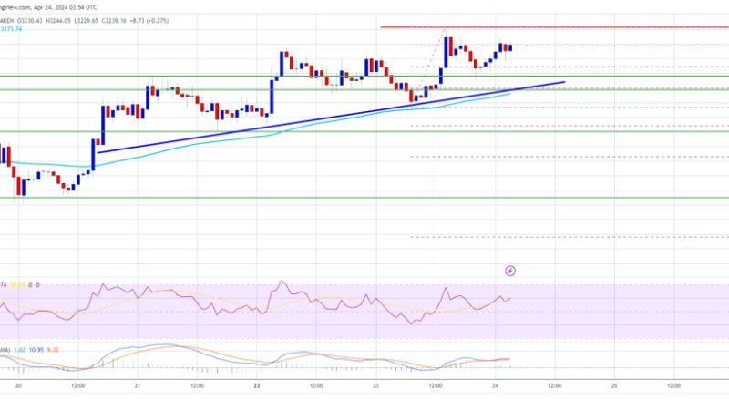 Ethereum Price Holds Support – Why ETH Could Soon Rally 5%