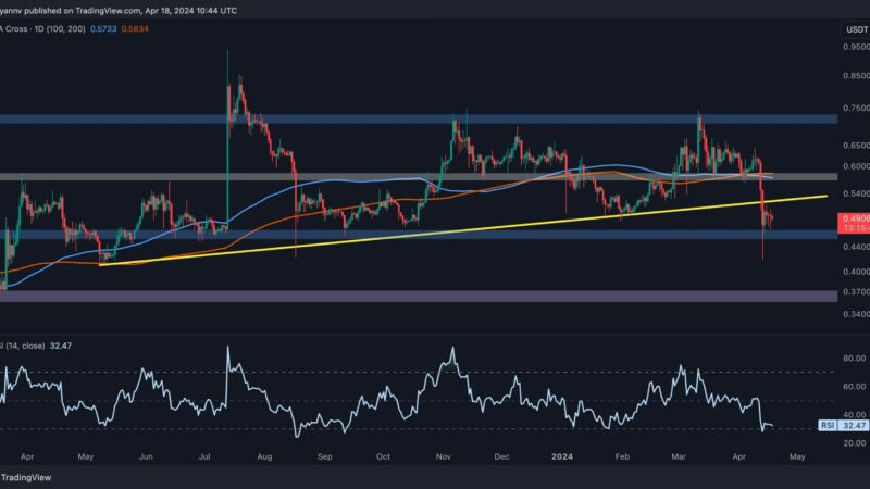 Ripple Price Analysis: What’s Next for XRP Following the Recent Crash?