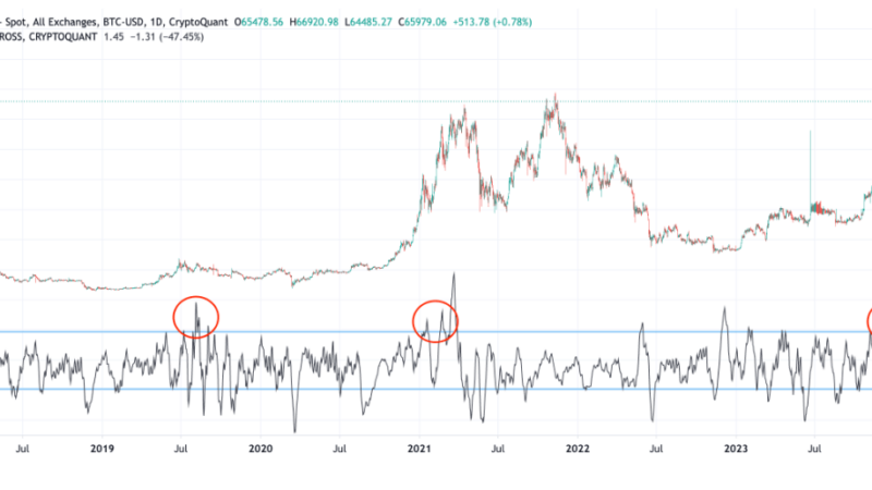 This Bitcoin Indicator May Have Signaled Latest Market Downturn In Advance