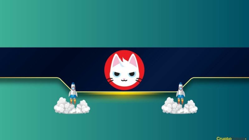 This Trending Solana Meme Coin Soars 40% Daily: Details