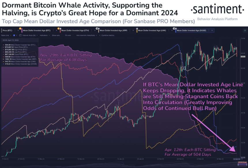 Waiting For The Bitcoin Bull Run To Resume? Here’s The Indicator To Watch For