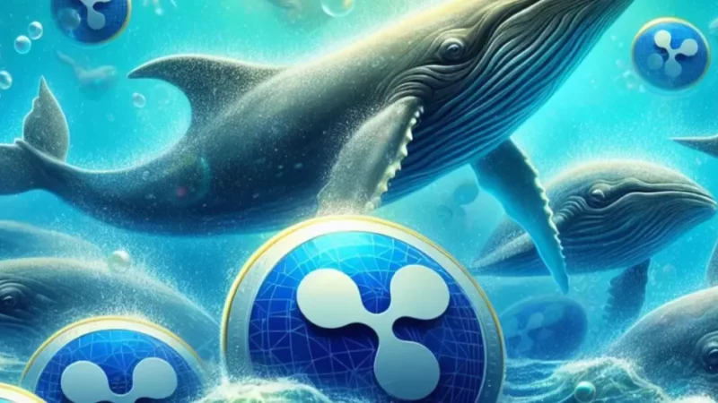 Whales on Buying Frenzy for Ripple (XRP), Shiba Inu (SHIB), and NuggetRush (NUGX) Ahead of Potential Breakout Rallies