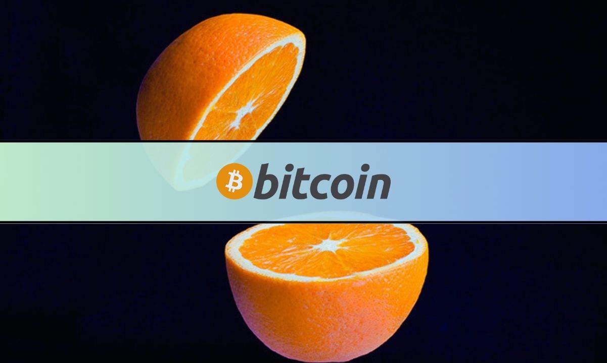 Will SHIB and DOGE Skyrocket After the Upcoming Bitcoin Halving?