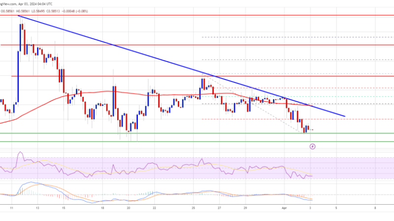 XRP Price Near Crucial Juncture, Can Bulls Take A Stand?
