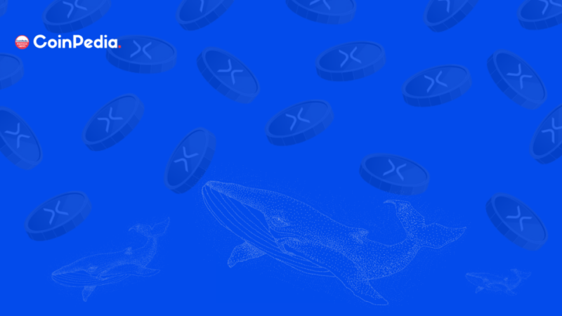 XRP Whale Transfers 129M XRP Amid Ripple Vs SEC Lawsuit Speculations