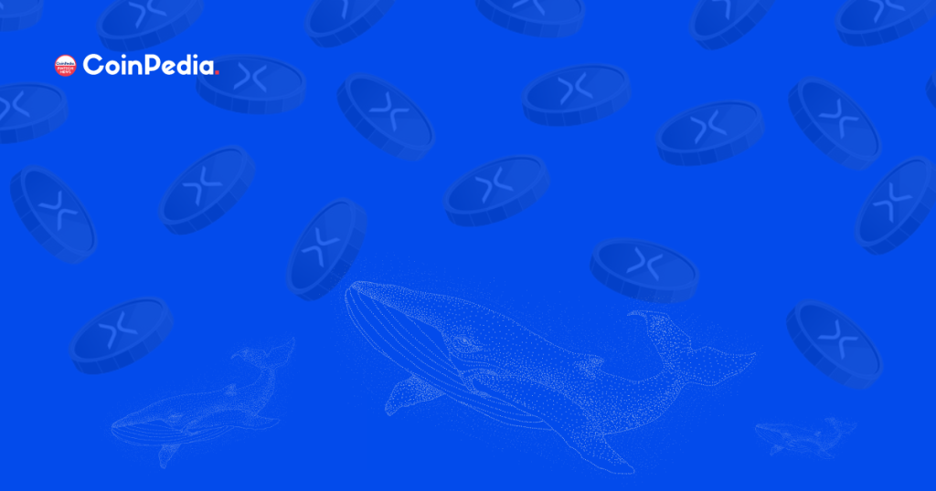 XRP Whale Transfers 129M XRP Amid Ripple Vs SEC Lawsuit Speculations