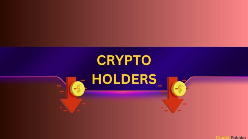 Amid the Bloodbath: Top 10 Projects Where Most HODLers Are in a Loss