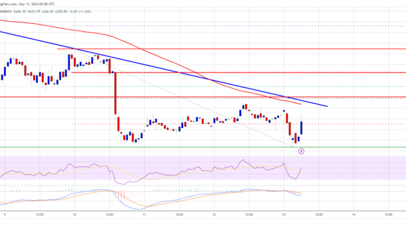 Bitcoin Cash Price At Make-Or-Break Moment, Key Levels To Watch