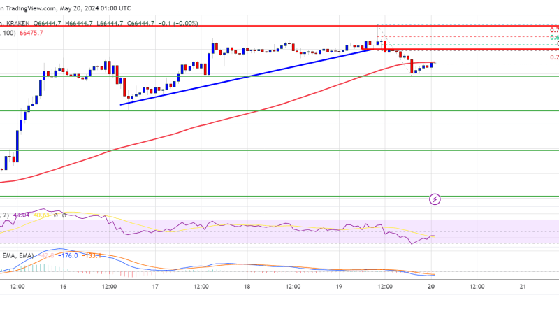 Bitcoin Price Dips Yet Stays Positive: Market Sentiment Remains Upbeat
