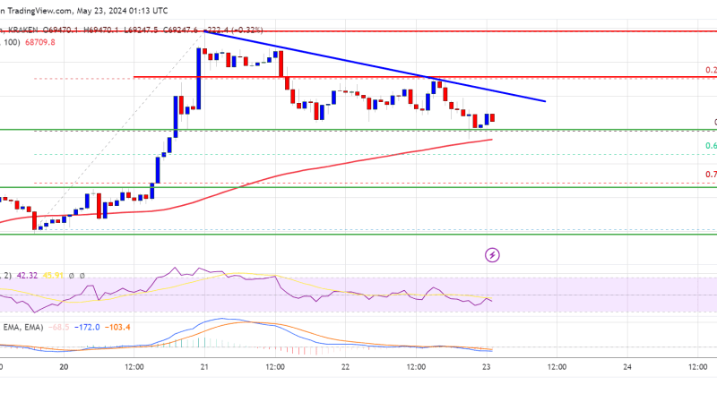 Bitcoin Price Hits Crucial Support: Will Bulls Ignite a Fresh Increase?