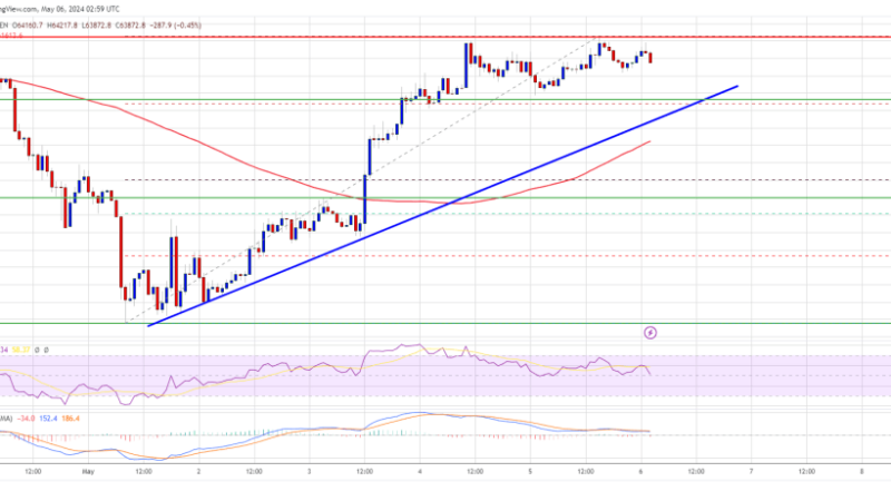 Bitcoin Price Rejects Key Resistance, Time For Another Drop In BTC?