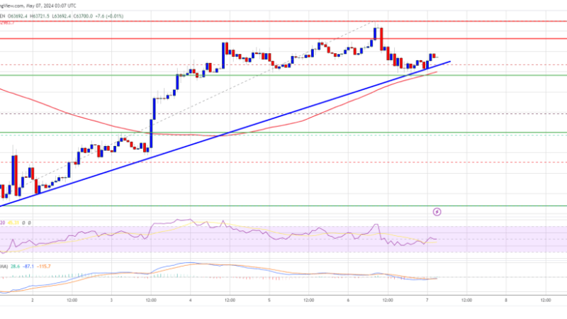 Bitcoin Price Signals Uptrend Continuation But Patience Is The Key