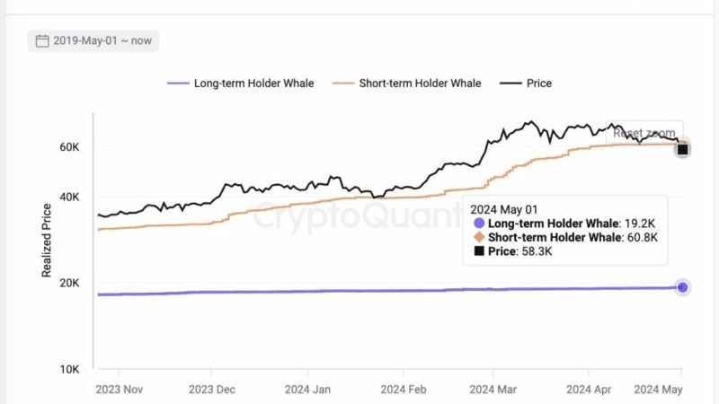 Bitcoin Slump Pushes New Whales Underwater: A Rare Opportunity To Buy?