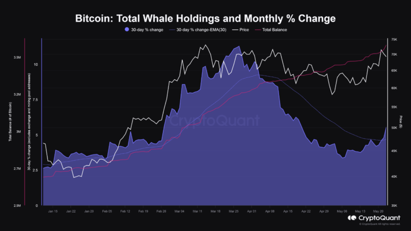 Bitcoin Whales’ Buying Appetite Returns, On-Chain Data Shows