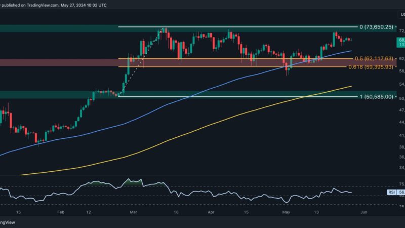 BTC’s Path to New ATH Is Full of Obstacles but Whales’ Activity Brings Hope: Bitcoin Price Analysis