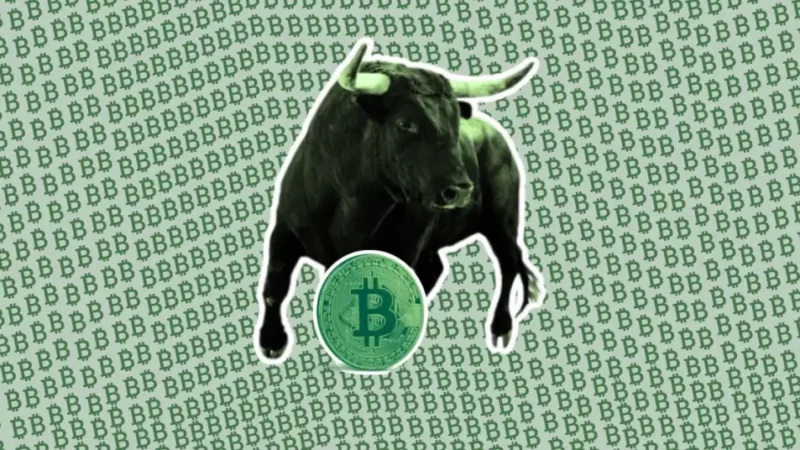 Crypto Political Bull Run: A Turning Point for Crypto Regulation