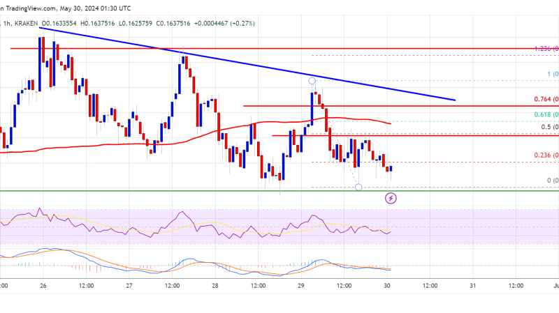 Dogecoin’s Rally Ride: DOGE Hang On Tight or Prepare to Bark!